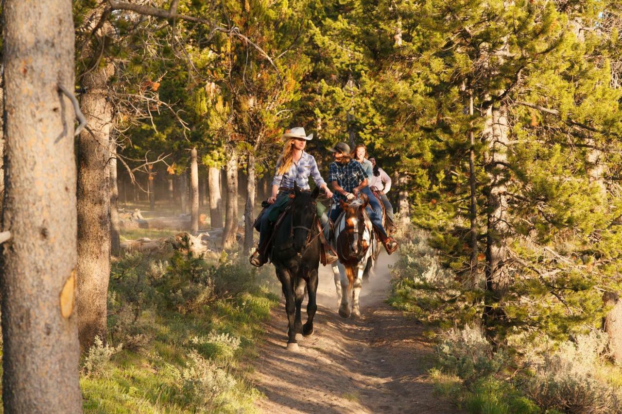 Headwaters Lodge & Cabins At Flagg Ranch Moran Exteriér fotografie